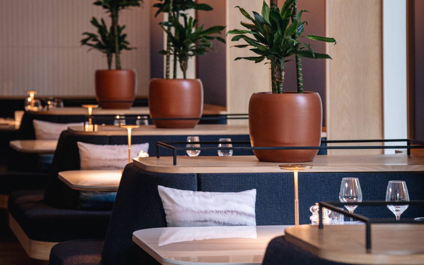 Modern restaurant dining room with upholstered booth seating, light wood tables, terracotta potted plants, and soft ambient lighting creating an elegant and intimate atmosphere.